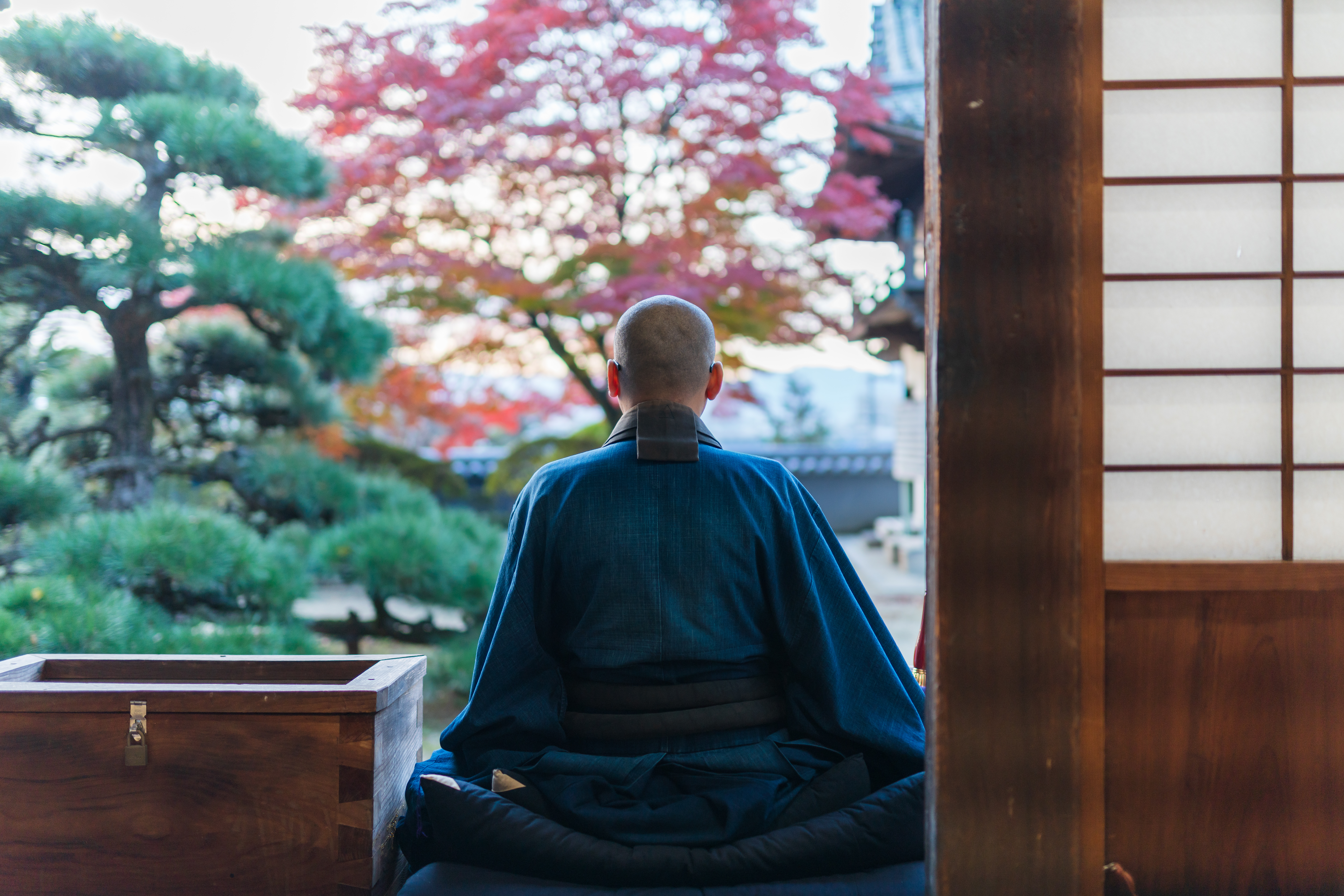 Monaco zen giapponese in meditazione di fronte a un giardino con foglie autunnali; tempio con pernottamento consigliato da Monica Alberghini.