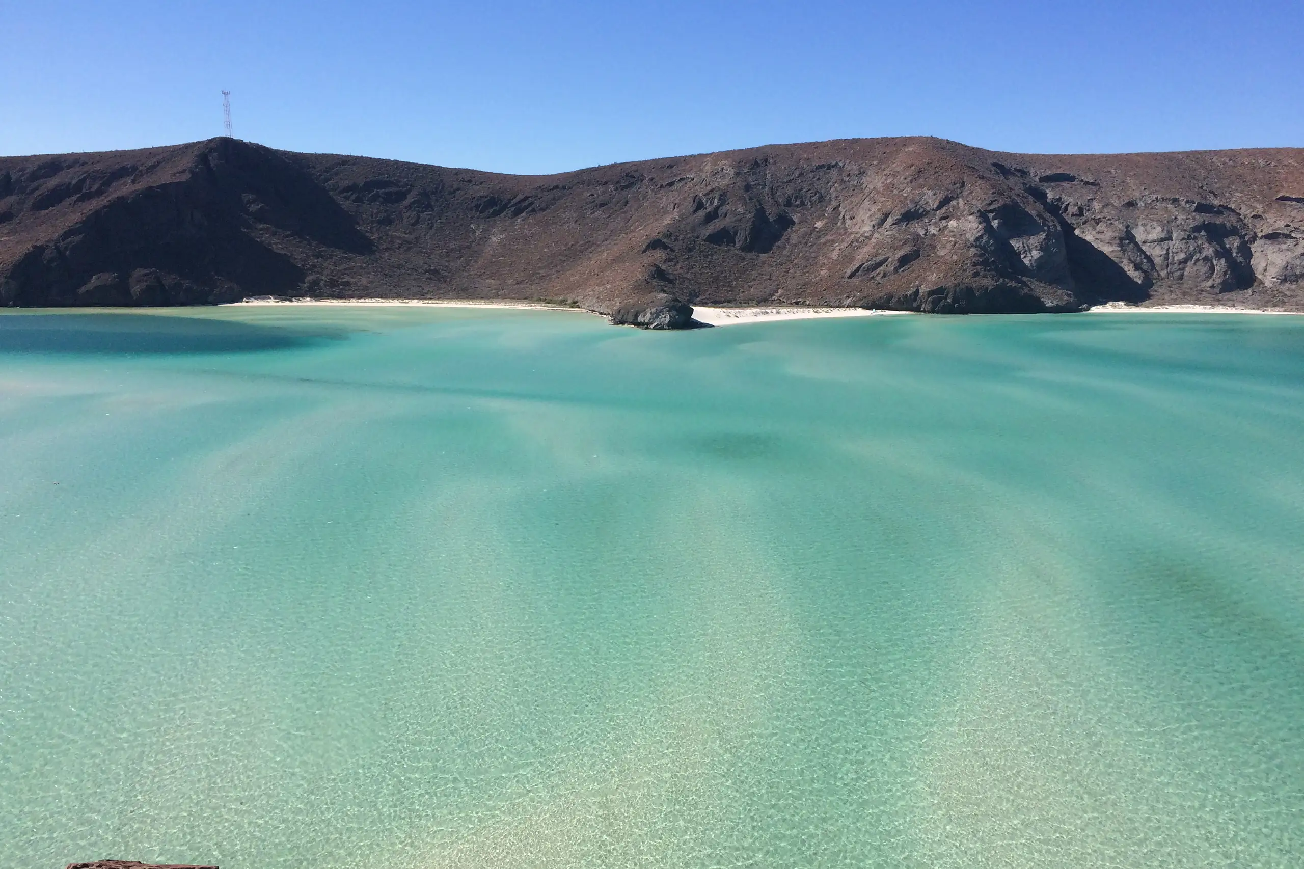 Acque cristalline di una baia con colline rocciose sullo sfondo, viaggio esperienziale con avvistamento balene in Baja California di Monica Alberghini