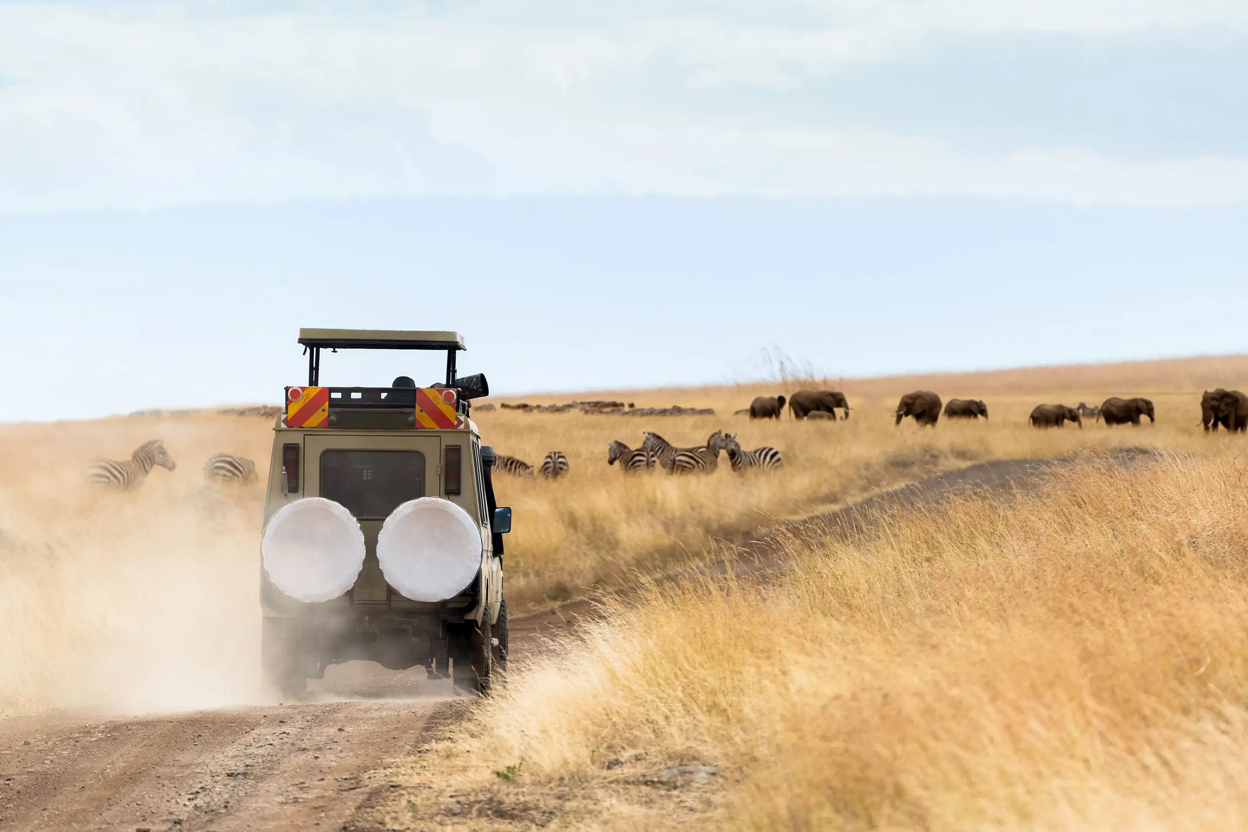 Jeep safari nella savana africana con zebre ed elefanti sullo sfondo, viaggi safari Monica Alberghini.