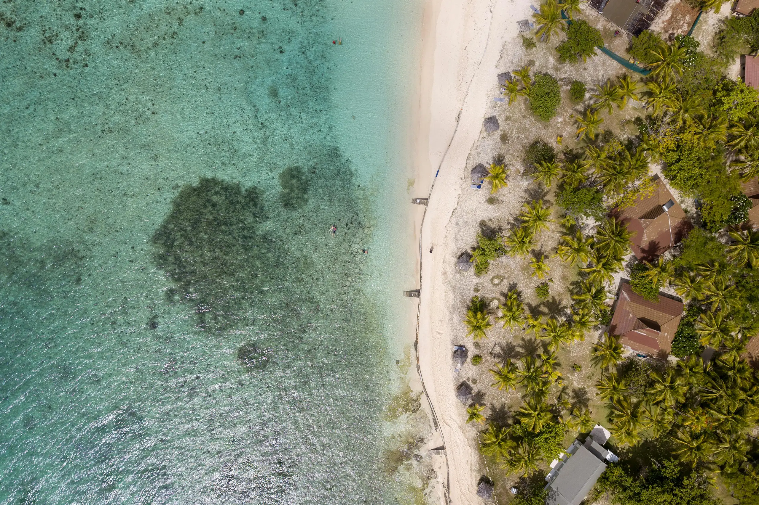 Vista aerea di una spiaggia tropicale con acqua cristallina, sabbia bianca e palme alle isole Fiji. Viaggi su misura Monica Alberghini.