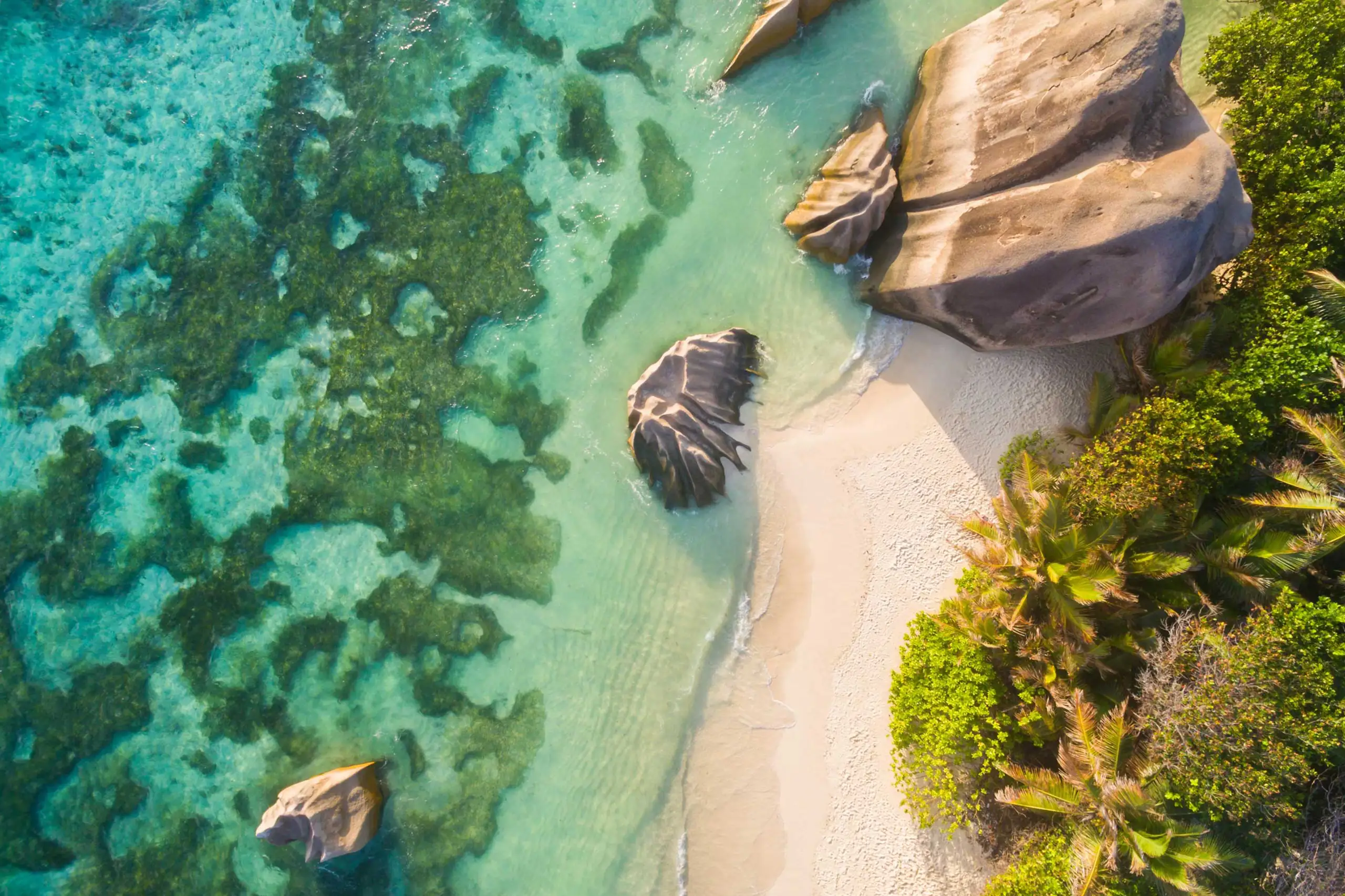 Vista spiaggia tropicale alle Seychelles con massi granitici, palme rigogliose e acque cristalline, viaggio di lusso Seychelles di Monica Alberghini.